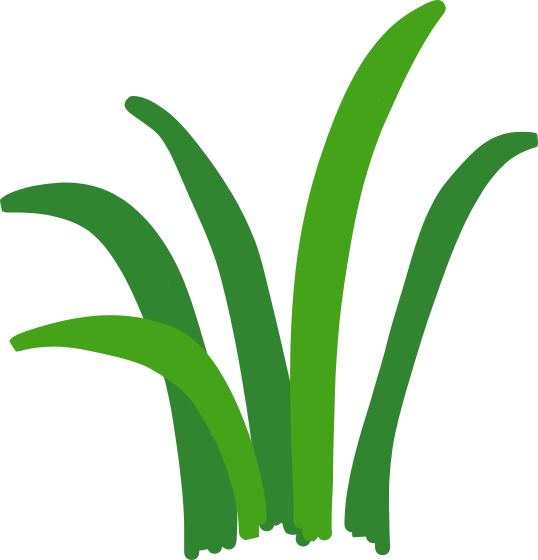 grass tuft