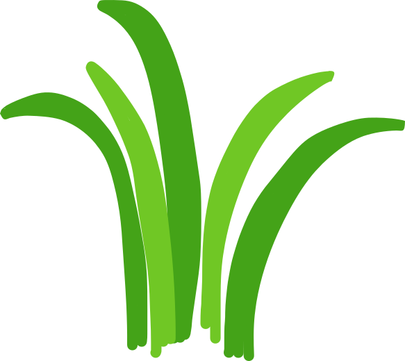 grass tuft